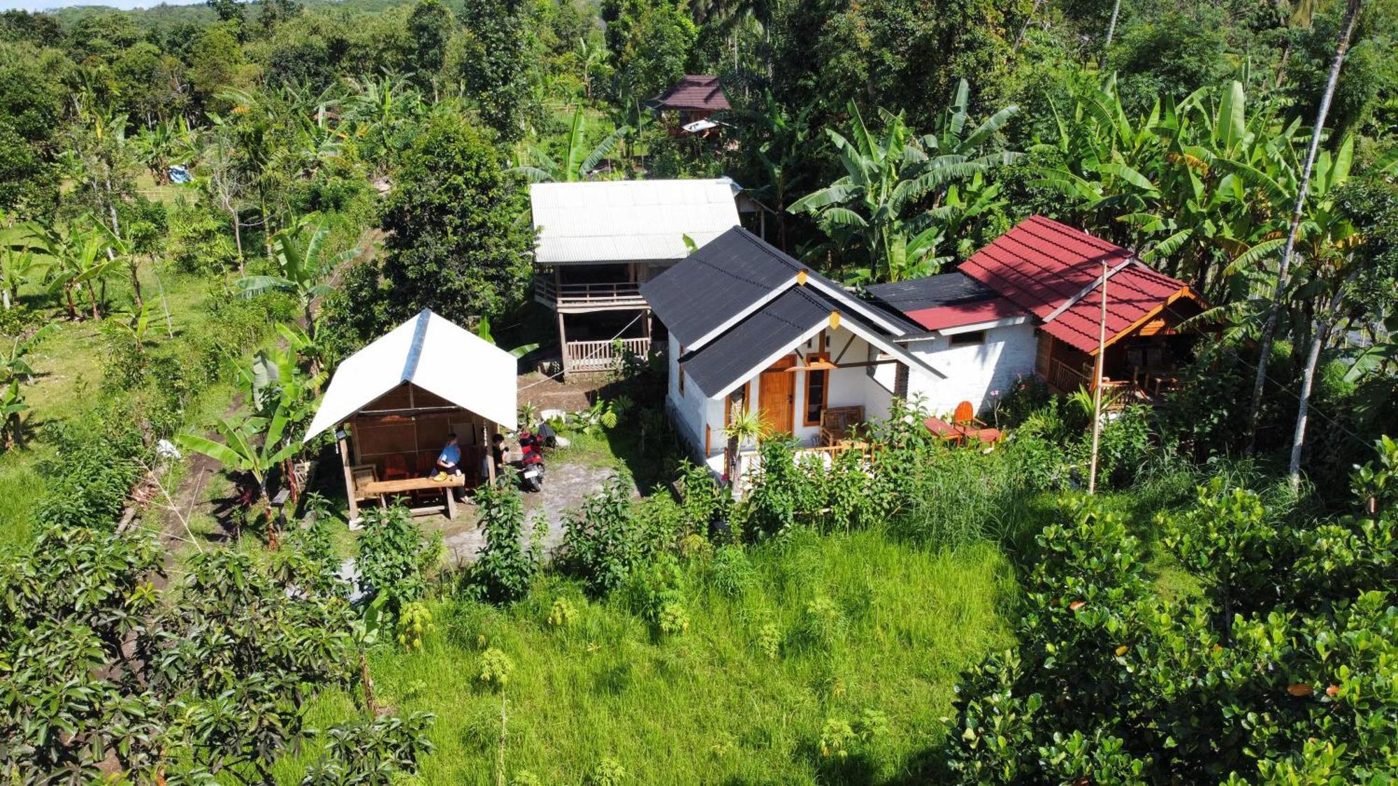 Asan Rinjani Homestay テテバトゥ 部屋 写真