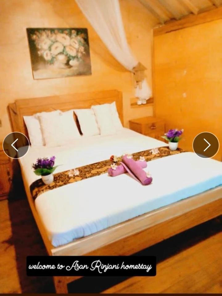 Asan Rinjani Homestay テテバトゥ エクステリア 写真