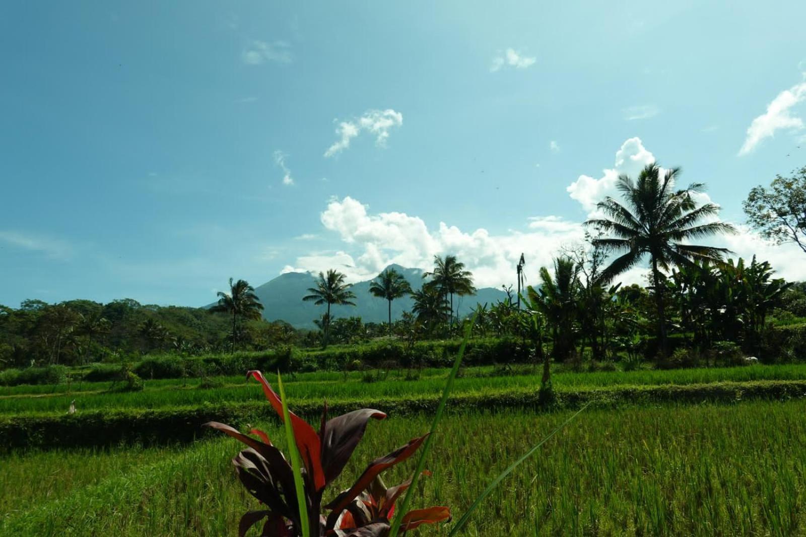 Asan Rinjani Homestay テテバトゥ エクステリア 写真
